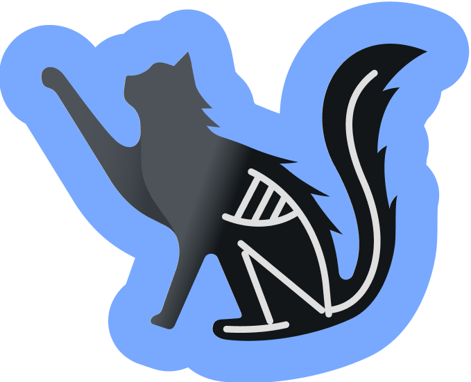 Cat image